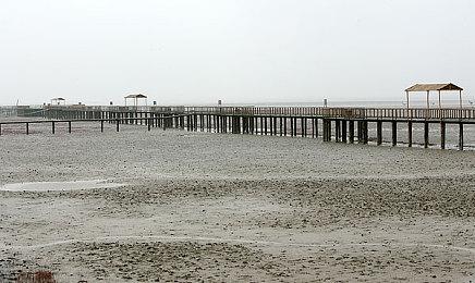 TGA：《Tchia》公布最新游戏实机演示预告